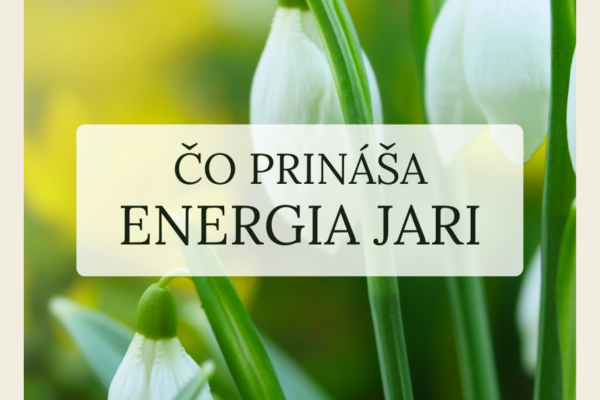 energia jar